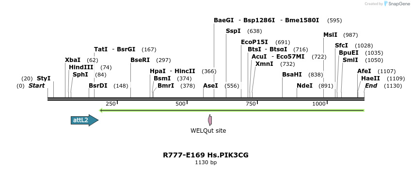 132202_map