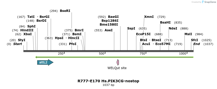 132204_map