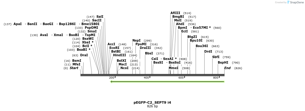 132205_map