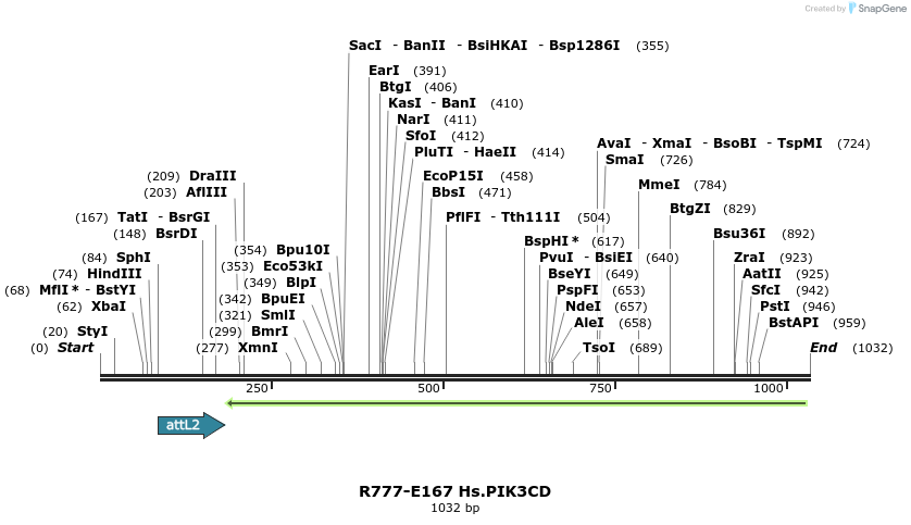 132206_map