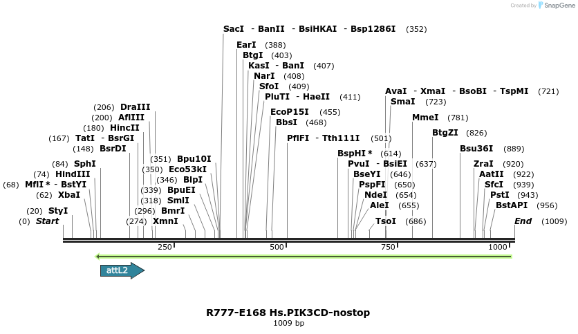 132208_map