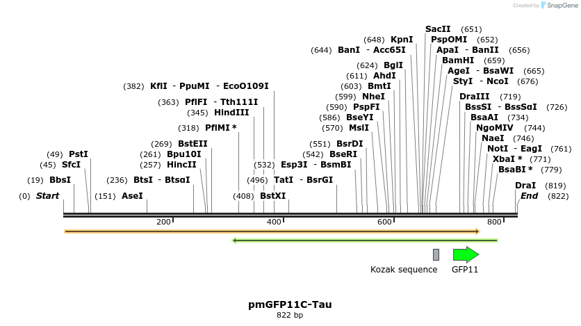 132212_map