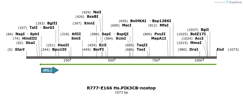 132214_map