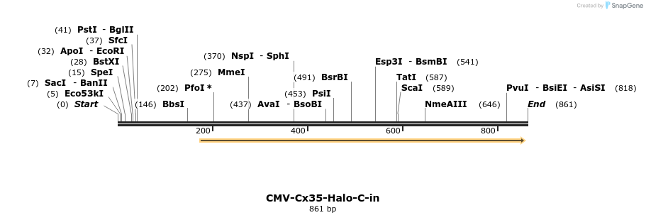 132216_map