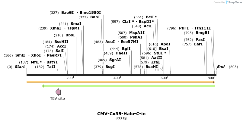 132220_map