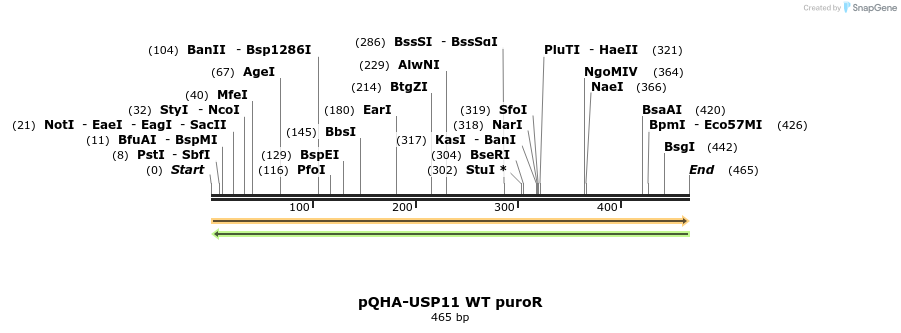 132222_map