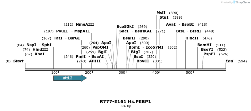 132226_map