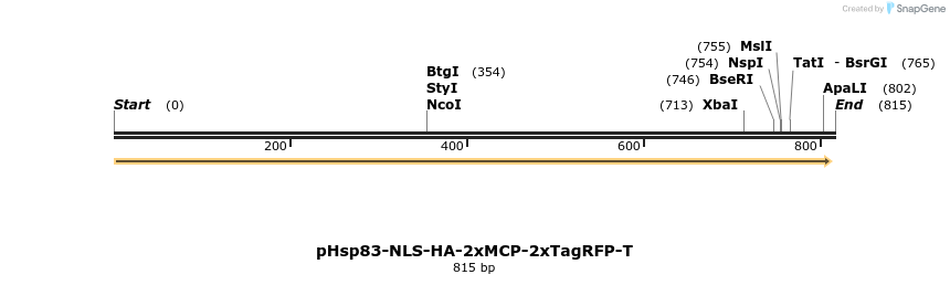 132228_map