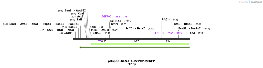 132230_map