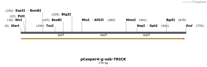 132233_map