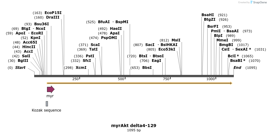 132235_map