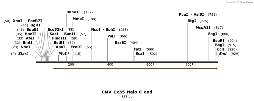 132237_map