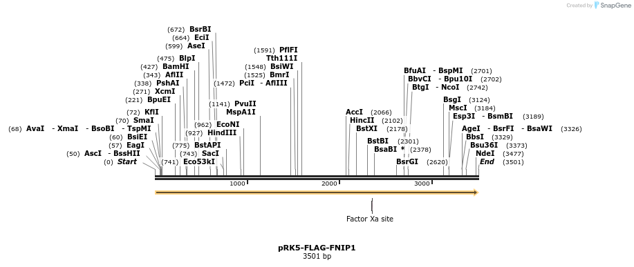 132241_map