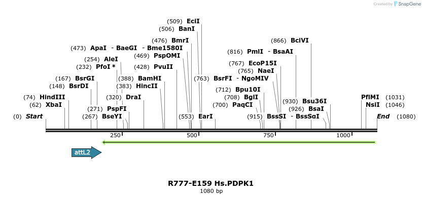132243_map
