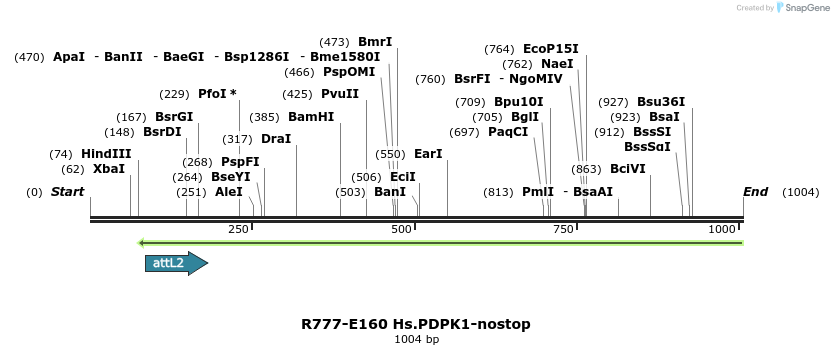 132245_map