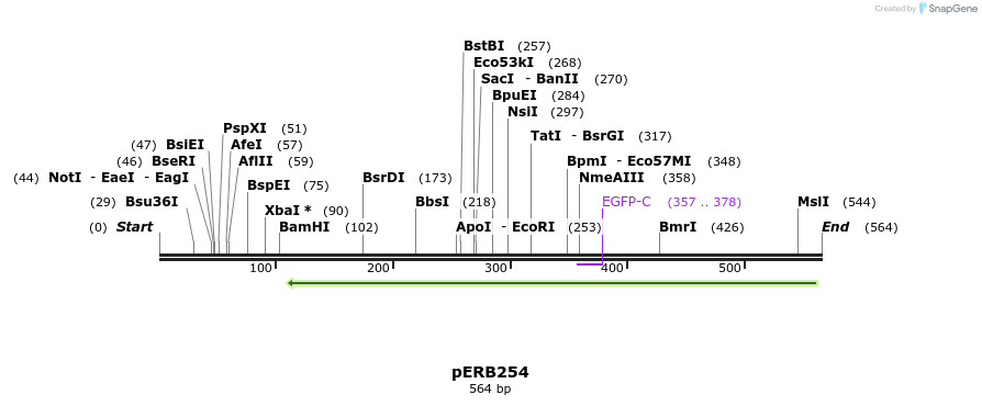132246_map