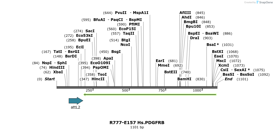 132248_map