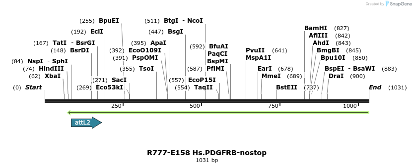 132253_map