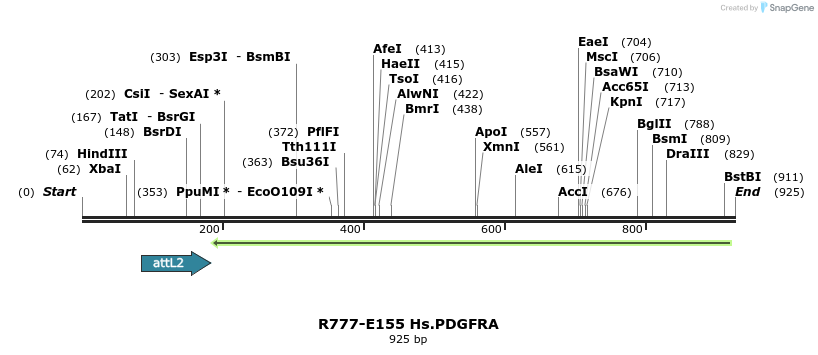 132256_map