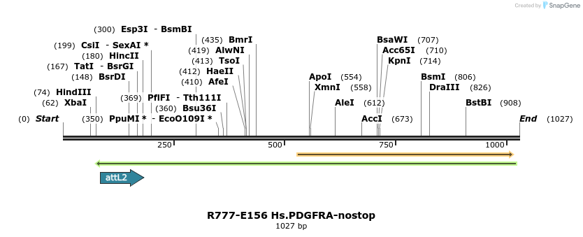 132260_map