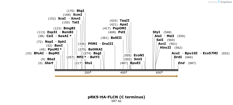 132262_map