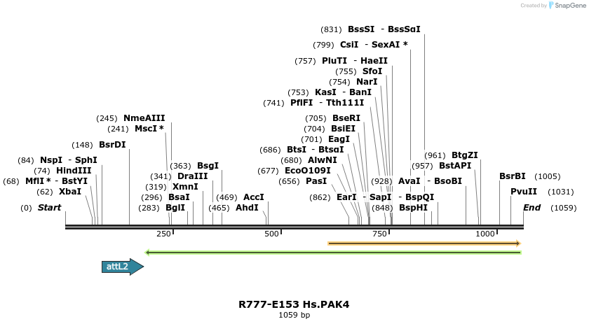 132263_map