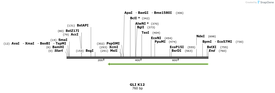 132264_map