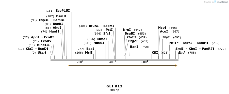 132266_map