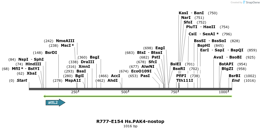 132267_map