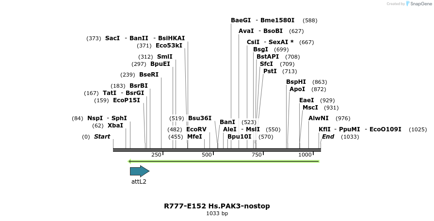 132269_map