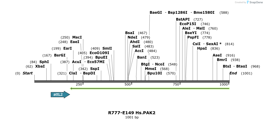 132270_map