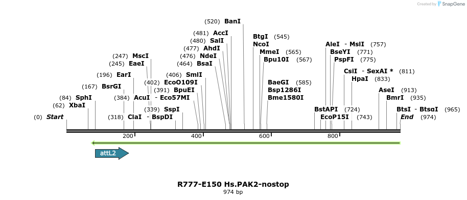 132271_map