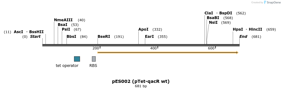 132274_map