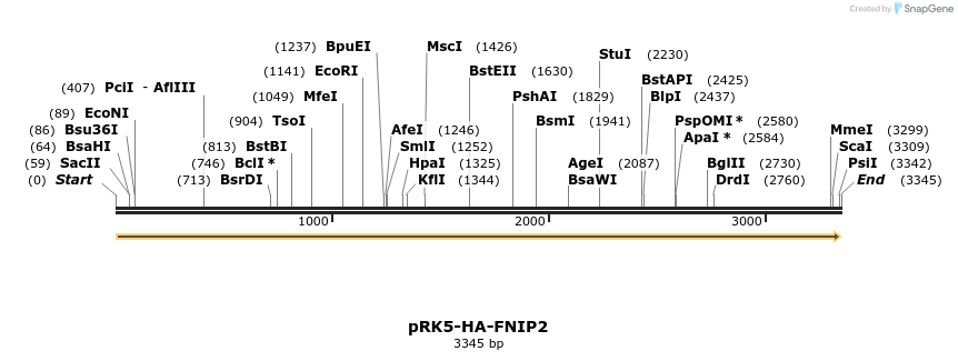132277_map