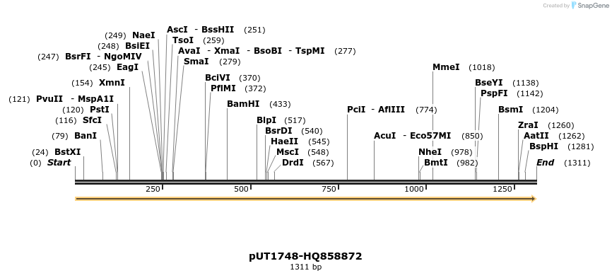 13228_map