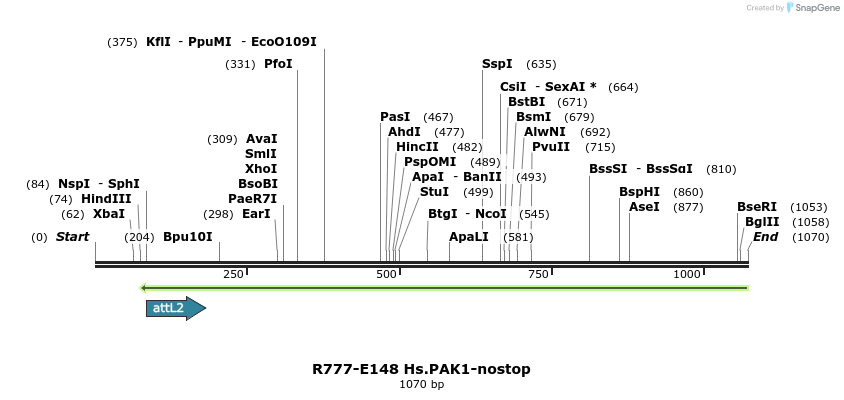 132288_map