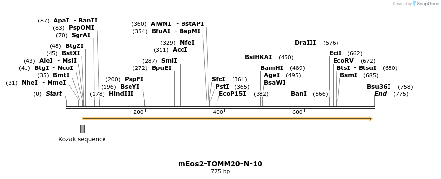 132290_map