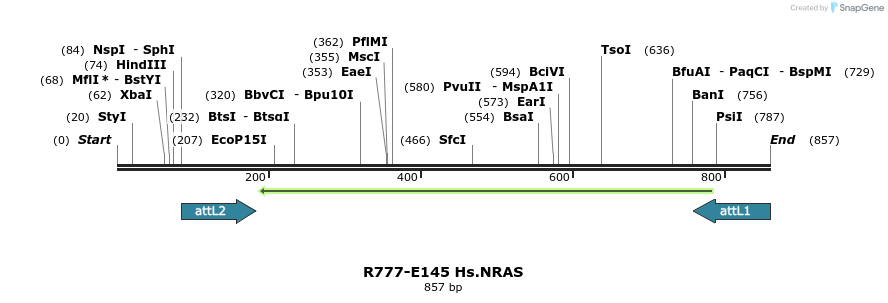 132292_map