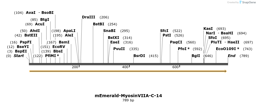 132293_map