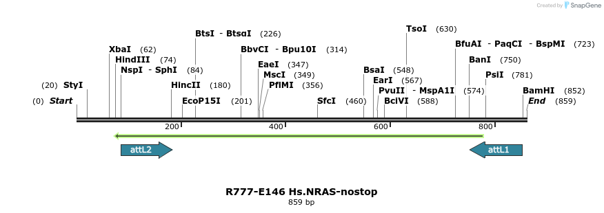 132294_map