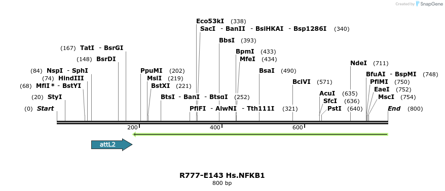 132298_map