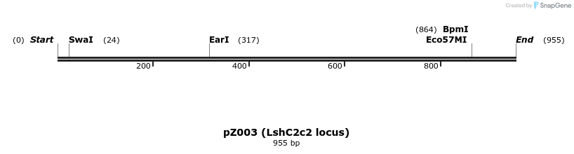 132299_map