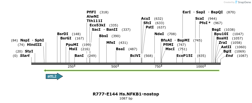 132300_map