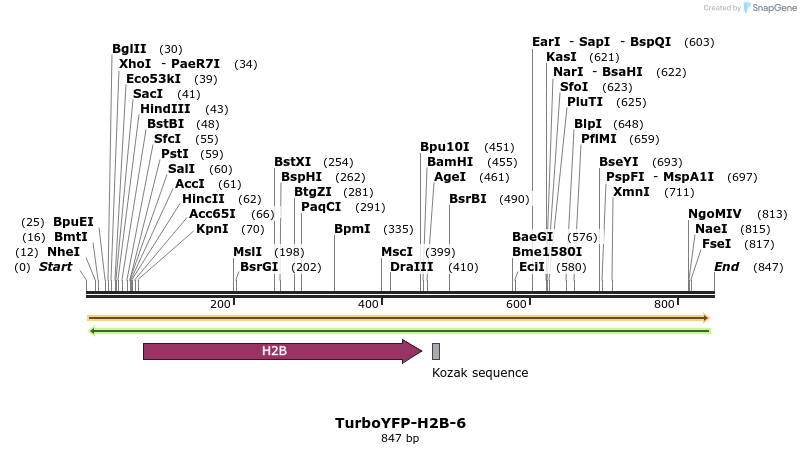 132301_map