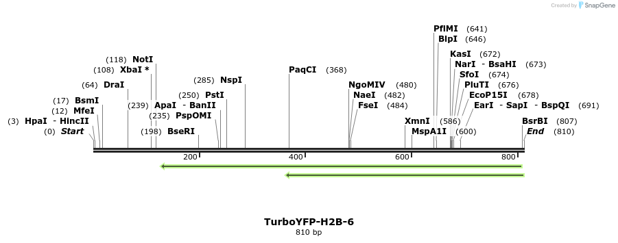 132302_map