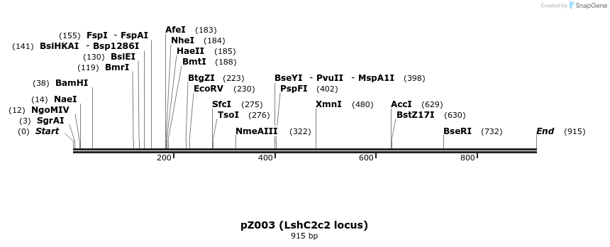 132303_map