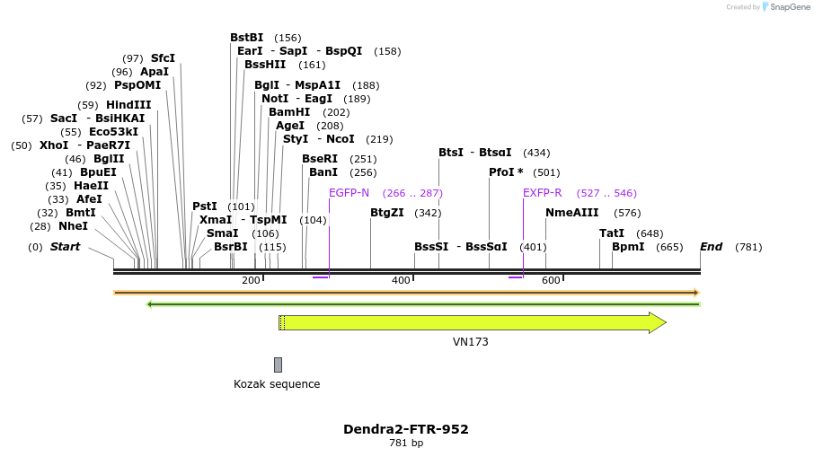 132305_map