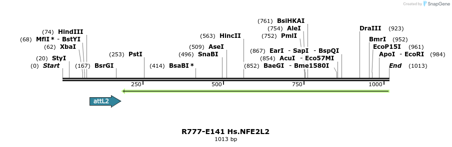 132307_map