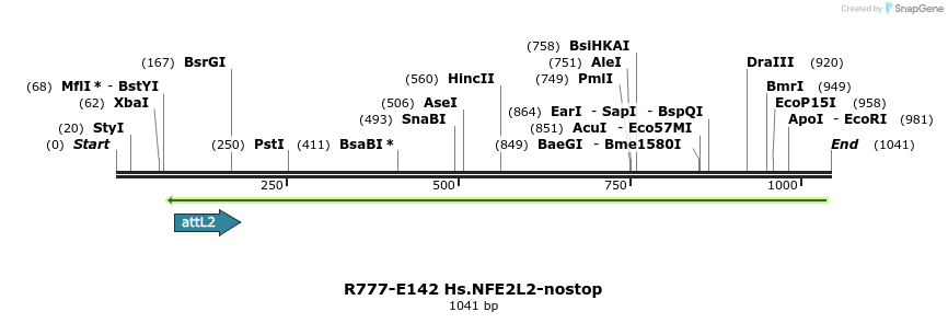 132309_map