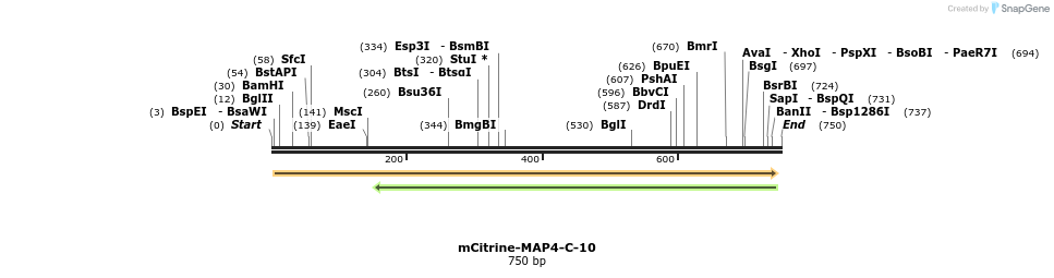 132310_map